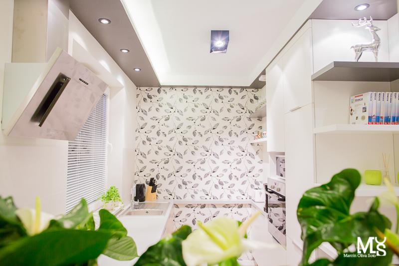 Mojito Apartments - Botanica Wroclaw Phòng bức ảnh