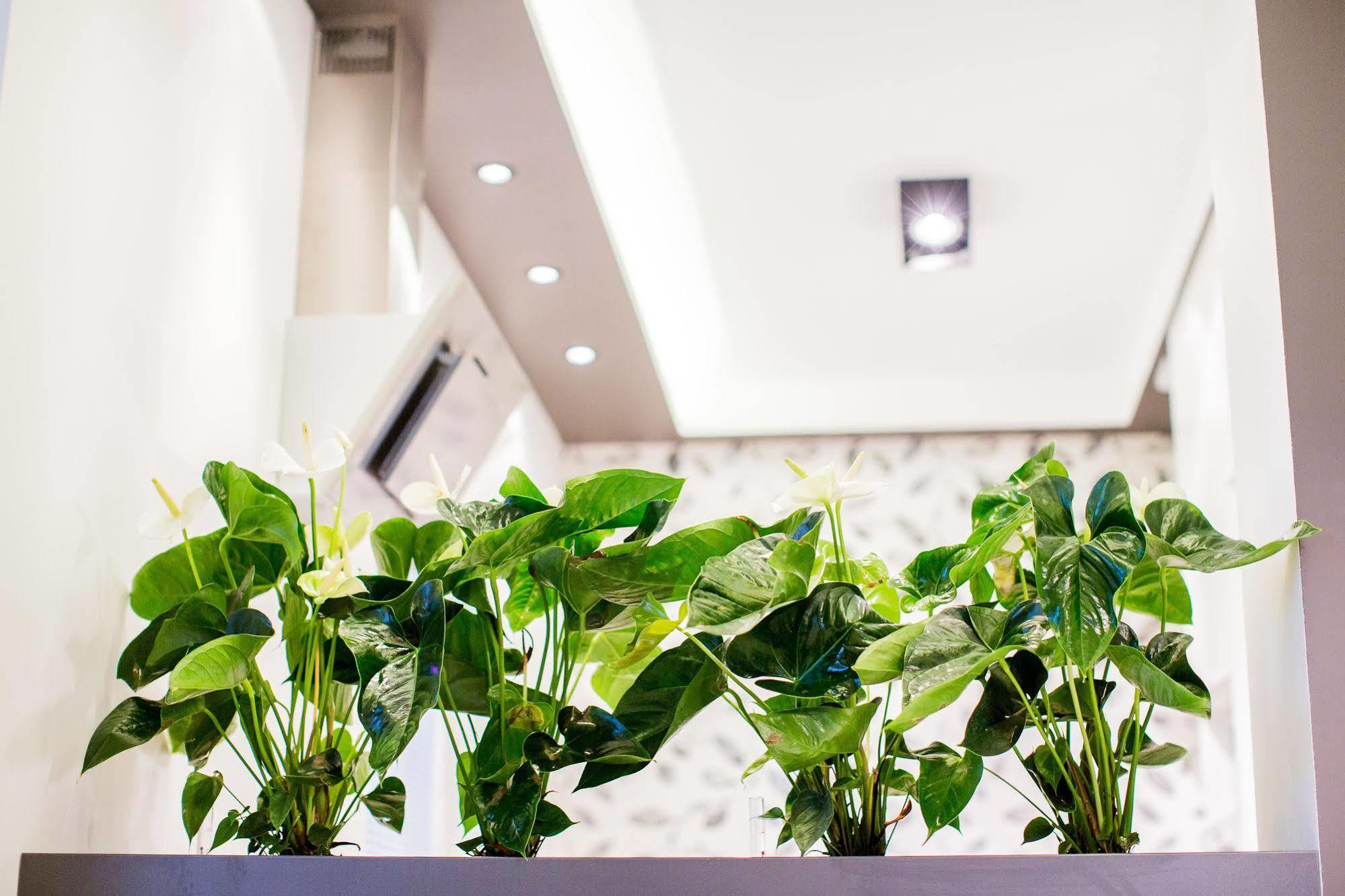 Mojito Apartments - Botanica Wroclaw Ngoại thất bức ảnh